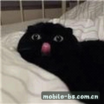 刘雨